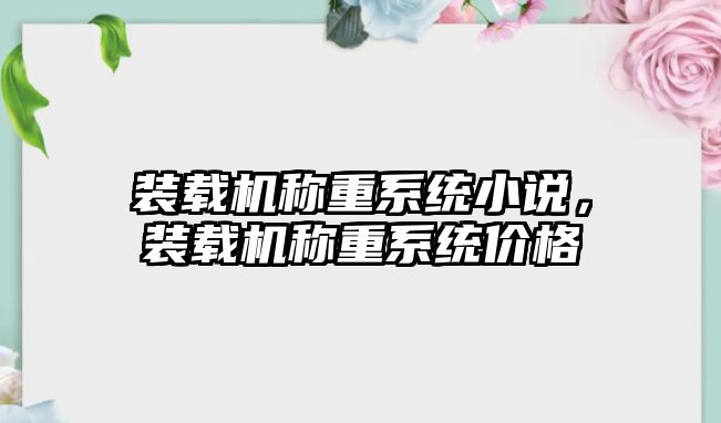 裝載機稱重系統(tǒng)小說，裝載機稱重系統(tǒng)價格