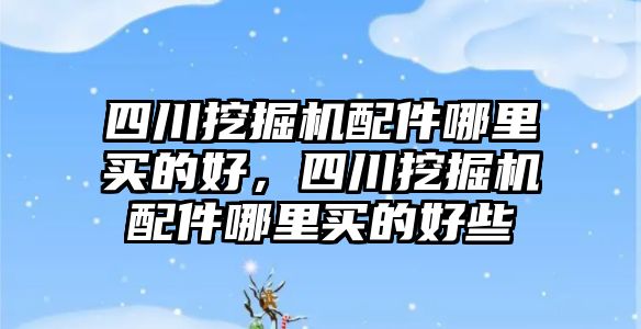 四川挖掘機配件哪里買的好，四川挖掘機配件哪里買的好些