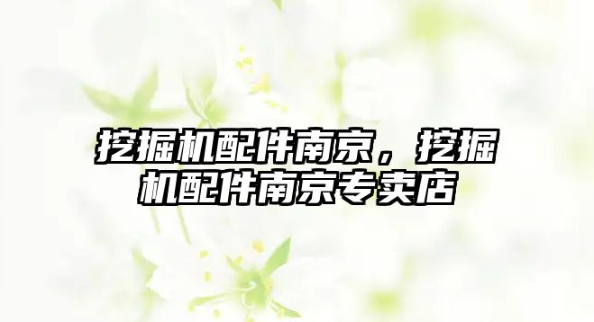 挖掘機(jī)配件南京，挖掘機(jī)配件南京專賣店