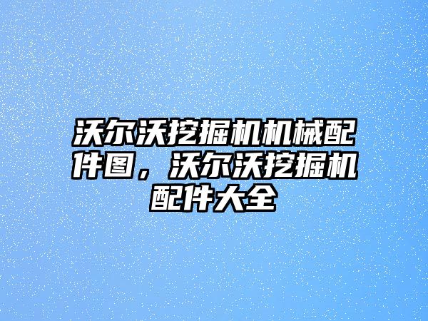 沃爾沃挖掘機機械配件圖，沃爾沃挖掘機配件大全