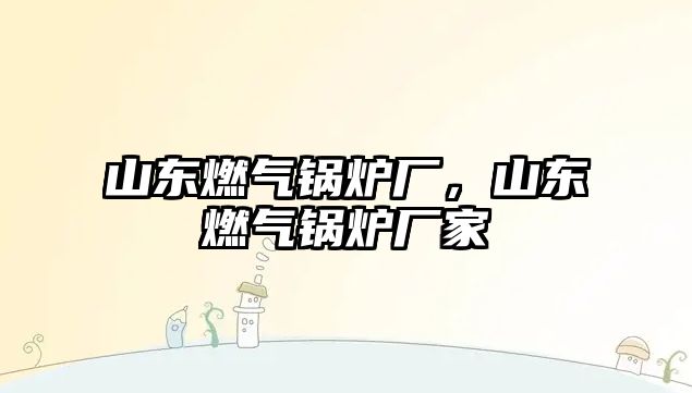山東燃?xì)忮仩t廠，山東燃?xì)忮仩t廠家
