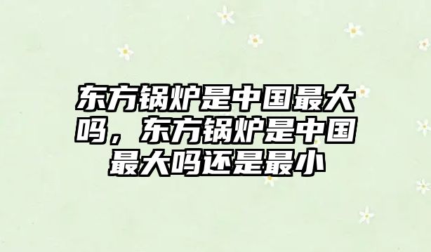 東方鍋爐是中國最大嗎，東方鍋爐是中國最大嗎還是最小