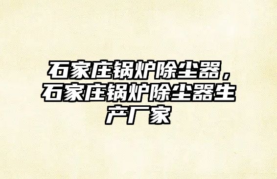 石家莊鍋爐除塵器，石家莊鍋爐除塵器生產(chǎn)廠家