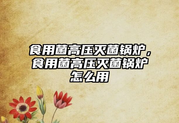 食用菌高壓滅菌鍋爐，食用菌高壓滅菌鍋爐怎么用