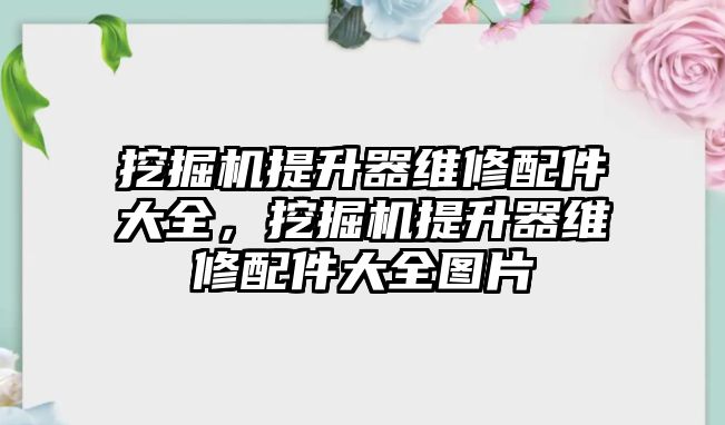 挖掘機提升器維修配件大全，挖掘機提升器維修配件大全圖片