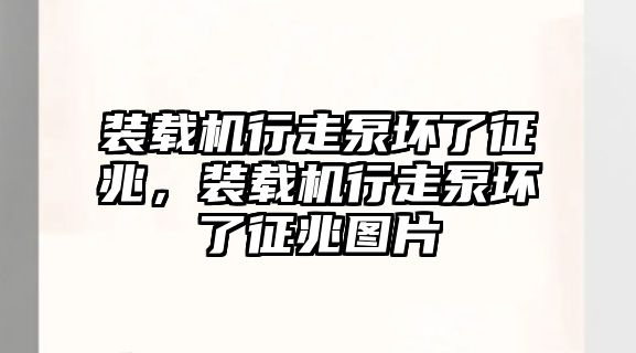 裝載機(jī)行走泵壞了征兆，裝載機(jī)行走泵壞了征兆圖片