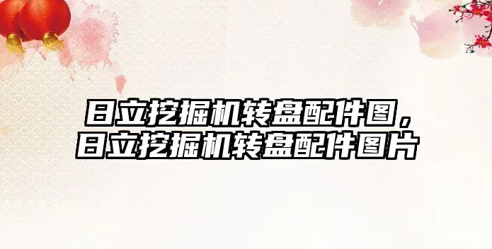 日立挖掘機轉(zhuǎn)盤配件圖，日立挖掘機轉(zhuǎn)盤配件圖片