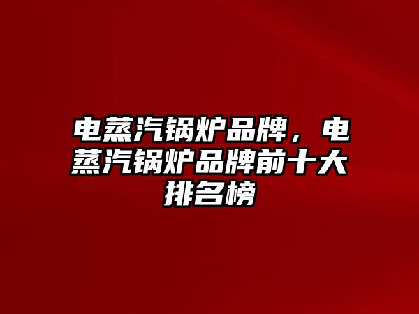 電蒸汽鍋爐品牌，電蒸汽鍋爐品牌前十大排名榜