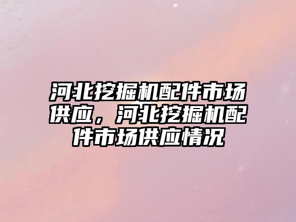 河北挖掘機(jī)配件市場(chǎng)供應(yīng)，河北挖掘機(jī)配件市場(chǎng)供應(yīng)情況
