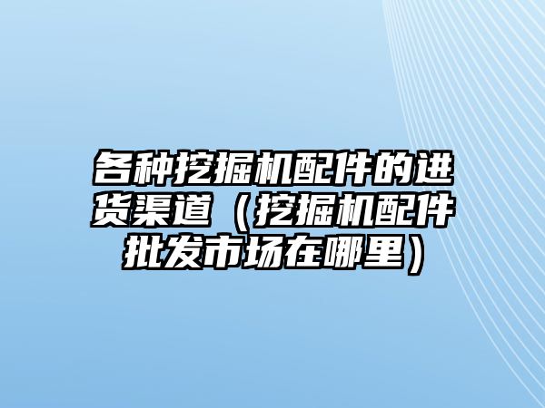 各種挖掘機(jī)配件的進(jìn)貨渠道（挖掘機(jī)配件批發(fā)市場(chǎng)在哪里）