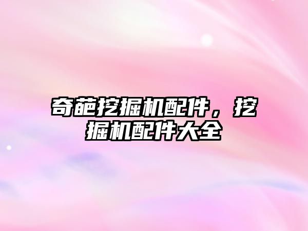奇葩挖掘機(jī)配件，挖掘機(jī)配件大全
