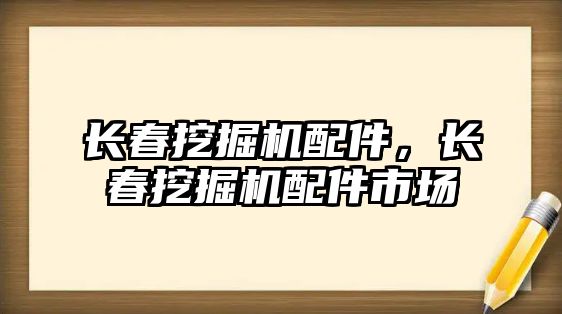 長春挖掘機(jī)配件，長春挖掘機(jī)配件市場