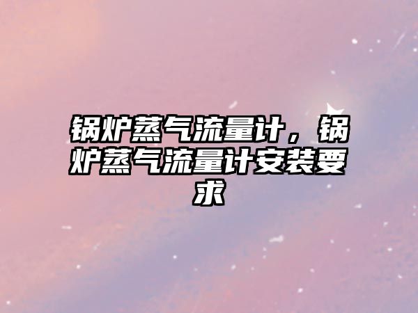 鍋爐蒸氣流量計(jì)，鍋爐蒸氣流量計(jì)安裝要求