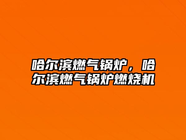 哈爾濱燃氣鍋爐,哈爾濱燃氣鍋爐燃燒機