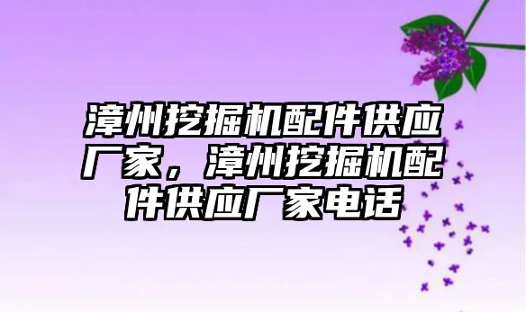 漳州挖掘機配件供應(yīng)廠家，漳州挖掘機配件供應(yīng)廠家電話