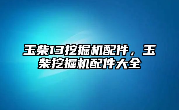 玉柴13挖掘機配件，玉柴挖掘機配件大全