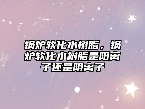 鍋爐軟化水樹脂，鍋爐軟化水樹脂是陽離子還是陰離子