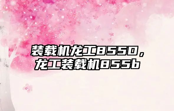 裝載機龍工855D，龍工裝載機855b