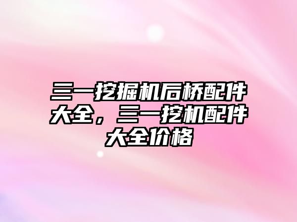 三一挖掘機(jī)后橋配件大全，三一挖機(jī)配件大全價(jià)格