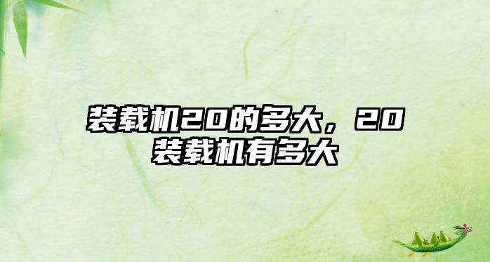 裝載機(jī)20的多大，20裝載機(jī)有多大