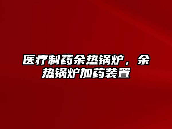 醫(yī)療制藥余熱鍋爐，余熱鍋爐加藥裝置
