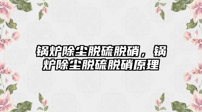 鍋爐除塵脫硫脫硝，鍋爐除塵脫硫脫硝原理