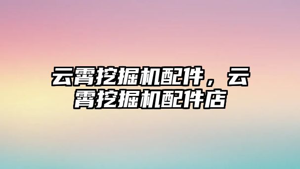 云霄挖掘機(jī)配件，云霄挖掘機(jī)配件店