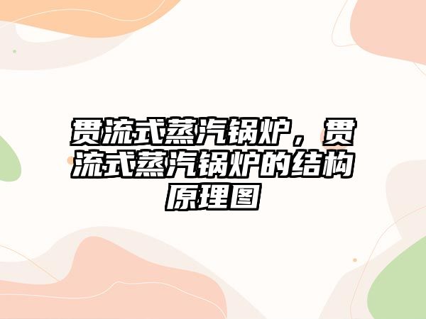 貫流式蒸汽鍋爐，貫流式蒸汽鍋爐的結(jié)構(gòu)原理圖