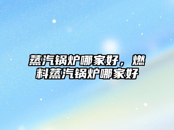 蒸汽鍋爐哪家好，燃料蒸汽鍋爐哪家好
