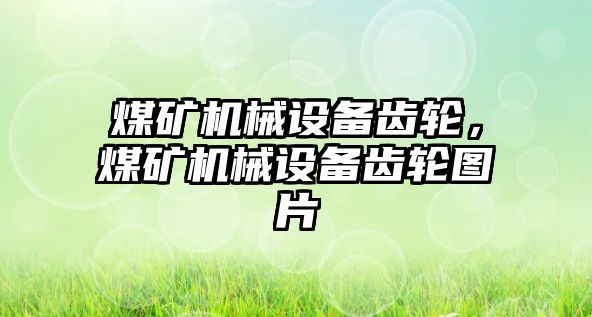 煤礦機械設(shè)備齒輪，煤礦機械設(shè)備齒輪圖片