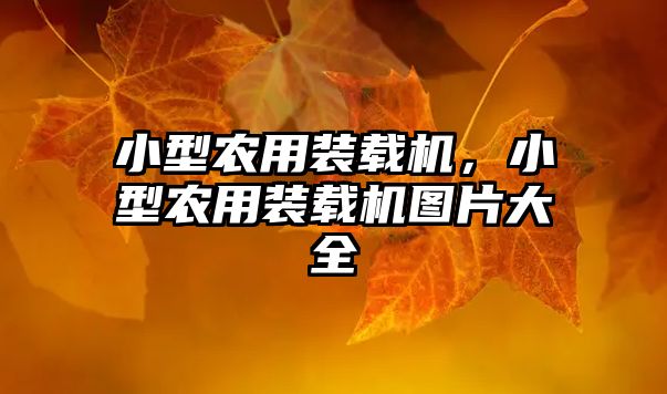 小型農(nóng)用裝載機(jī)，小型農(nóng)用裝載機(jī)圖片大全
