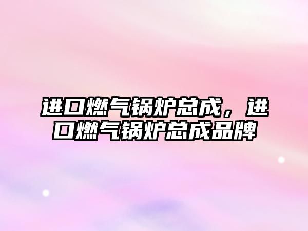 進(jìn)口燃?xì)忮仩t總成，進(jìn)口燃?xì)忮仩t總成品牌