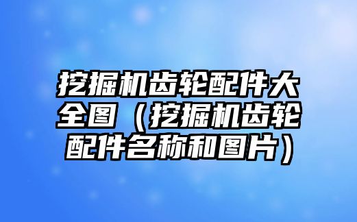 挖掘機齒輪配件大全圖（挖掘機齒輪配件名稱和圖片）