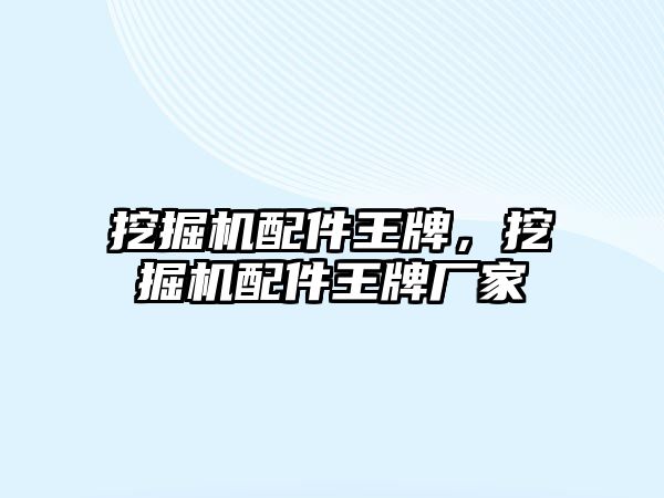 挖掘機配件王牌，挖掘機配件王牌廠家