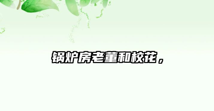 鍋爐房老董和?；ǎ?/>	
								</i>
								<p class=