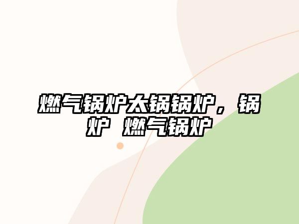 燃?xì)忮仩t太鍋鍋爐，鍋爐 燃?xì)忮仩t