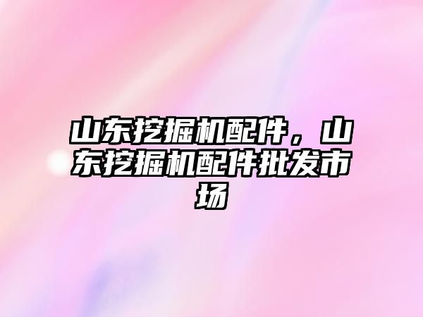 山東挖掘機(jī)配件，山東挖掘機(jī)配件批發(fā)市場(chǎng)