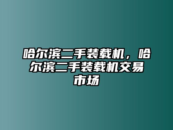 哈爾濱二手裝載機(jī)，哈爾濱二手裝載機(jī)交易市場(chǎng)