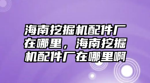海南挖掘機配件廠在哪里，海南挖掘機配件廠在哪里啊