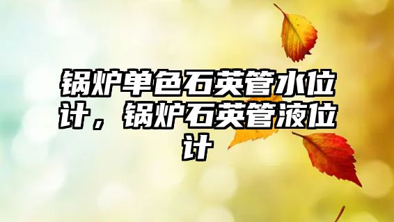 鍋爐單色石英管水位計(jì)，鍋爐石英管液位計(jì)
