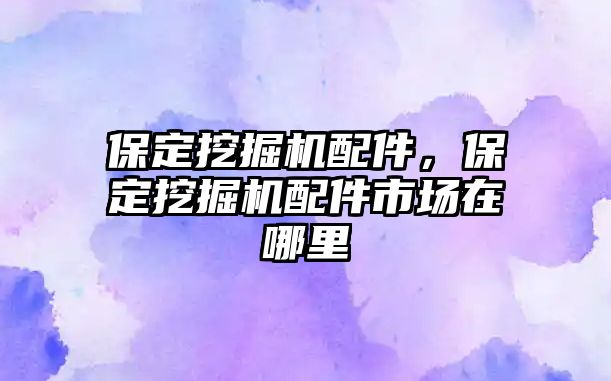 保定挖掘機配件，保定挖掘機配件市場在哪里