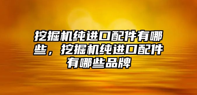 挖掘機純進口配件有哪些，挖掘機純進口配件有哪些品牌
