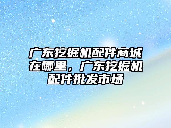廣東挖掘機(jī)配件商城在哪里，廣東挖掘機(jī)配件批發(fā)市場