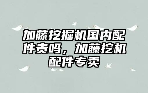 加藤挖掘機(jī)國內(nèi)配件貴嗎，加藤挖機(jī)配件專賣