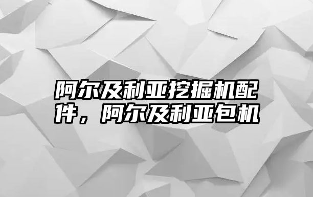 阿爾及利亞挖掘機配件，阿爾及利亞包機