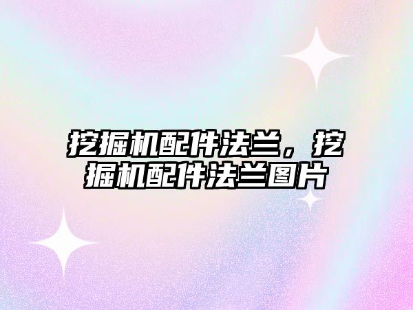 挖掘機配件法蘭，挖掘機配件法蘭圖片