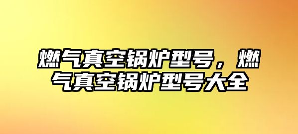 燃?xì)庹婵斟仩t型號，燃?xì)庹婵斟仩t型號大全