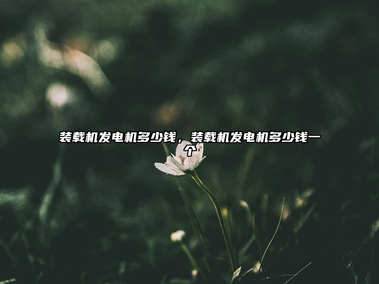 裝載機(jī)發(fā)電機(jī)多少錢(qián)，裝載機(jī)發(fā)電機(jī)多少錢(qián)一個(gè)