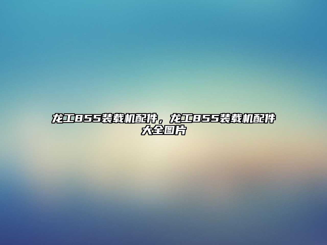 龍工855裝載機(jī)配件，龍工855裝載機(jī)配件大全圖片