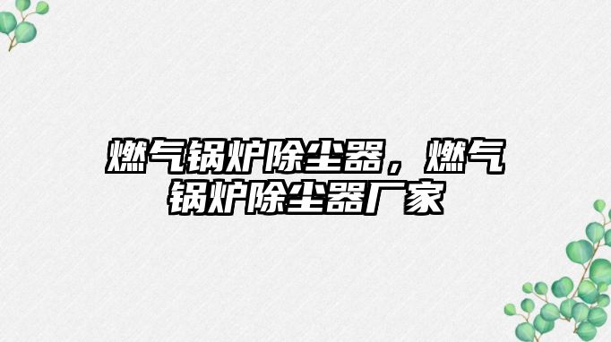 燃?xì)忮仩t除塵器，燃?xì)忮仩t除塵器廠家